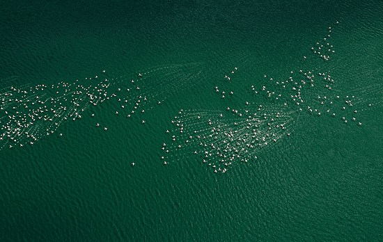 2026 Travel Trends Report